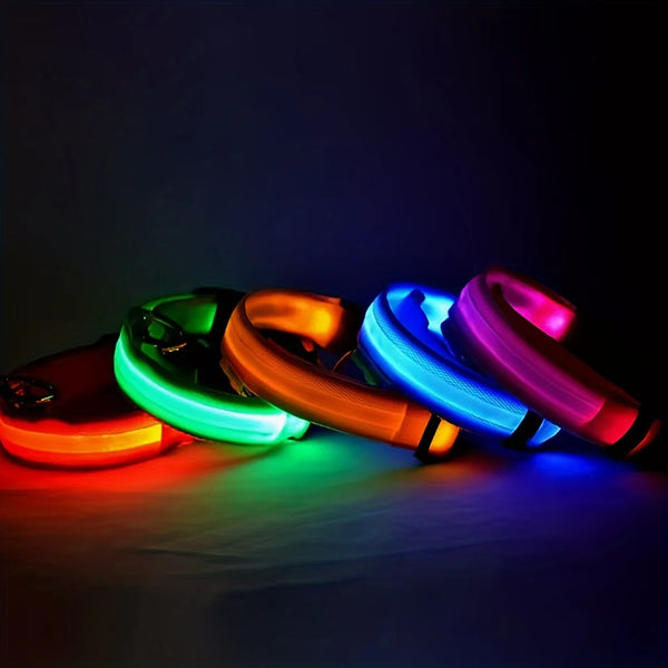 GlowSafe LED Dog Leash & Collar