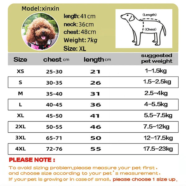 Pawsome Raincoat for Dogs
