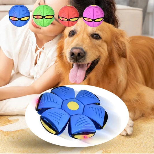 Magic Fly Ball for Dogs