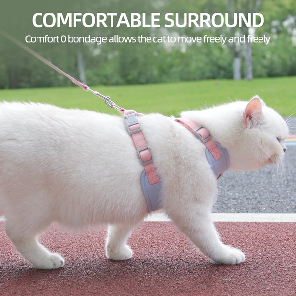 Cozy Pet Adventure Set