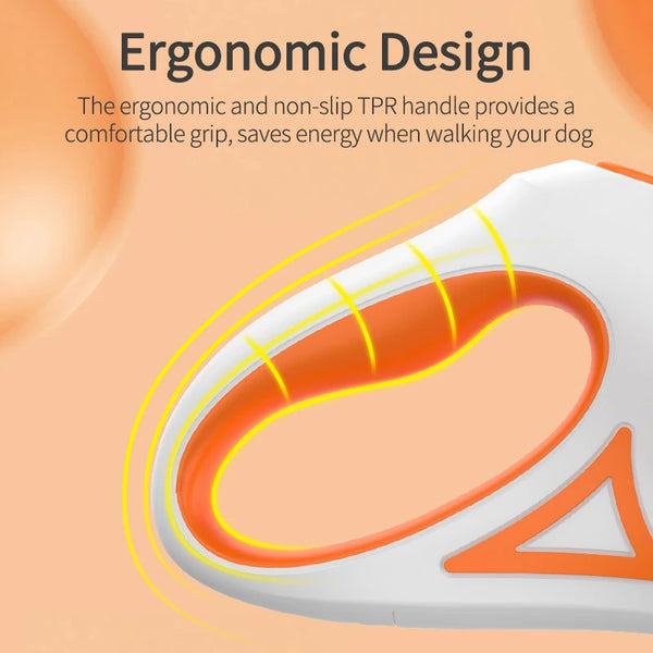 Glow & Go Dog Leash