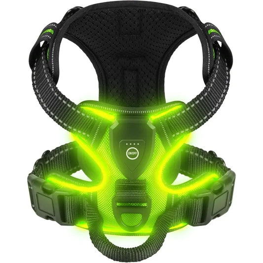 GlowBright Dog Safety Harness
