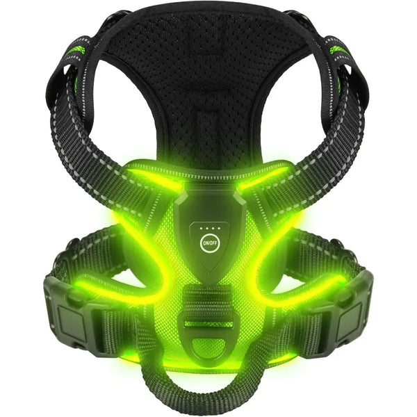 GlowBright Dog Safety Harness