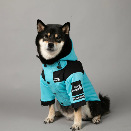PawDream Raincoat for All Dogs
