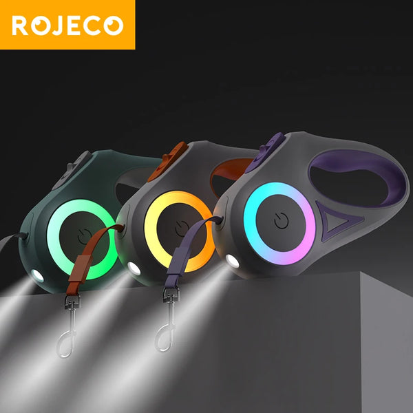 Glow & Go Dog Leash