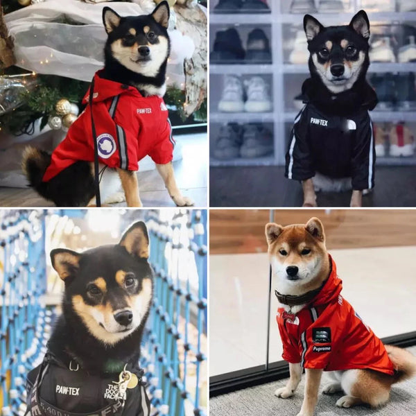 Rainy Day Dog Jacket