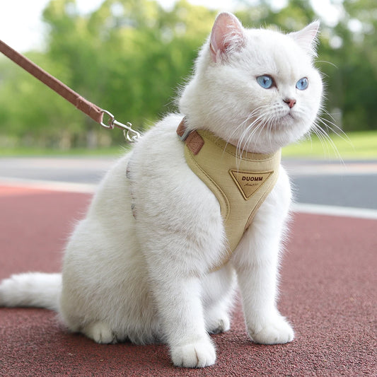 Cozy Pet Adventure Set