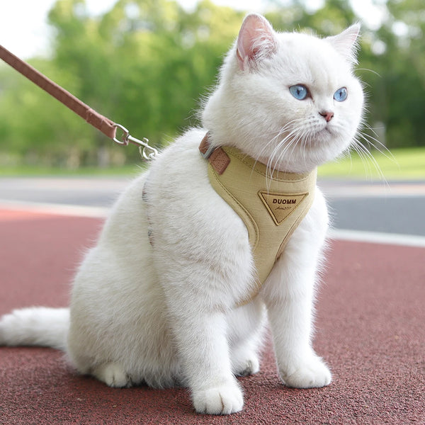 Cozy Pet Adventure Set
