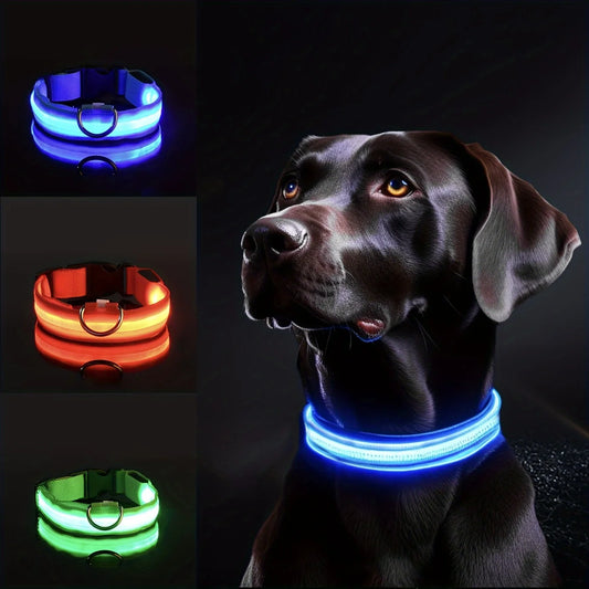 GlowSafe LED Dog Leash & Collar